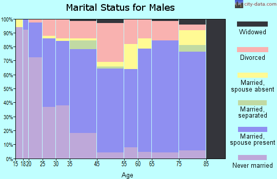 Springfield marital status for males