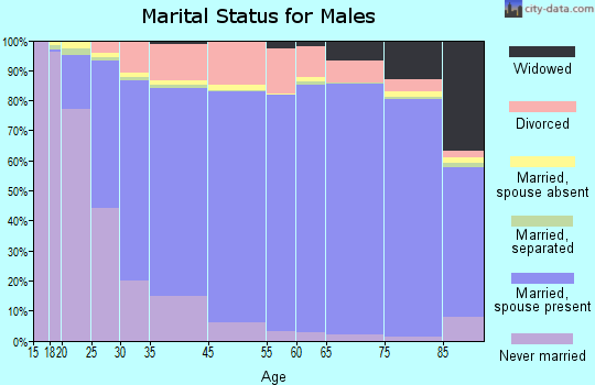 Spring Hill marital status for males