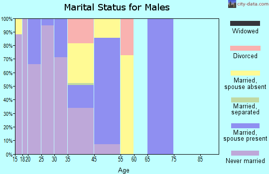 Stacey Street marital status for males
