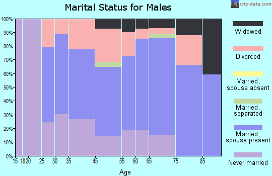 Surfside marital status for males