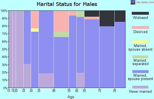 Sylvan Shores marital status for males