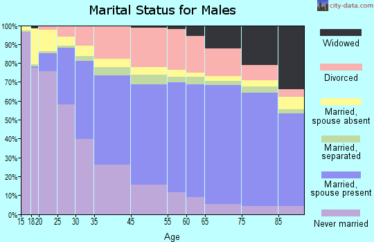 Tampa marital status for males