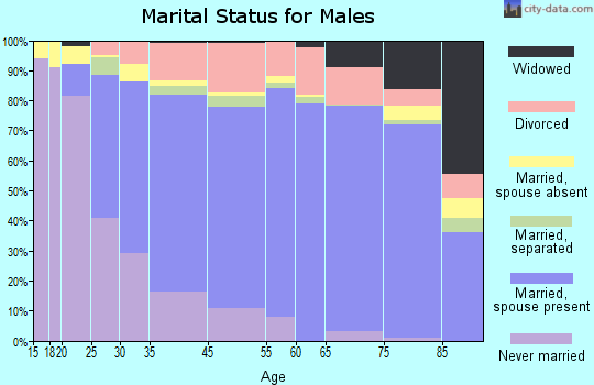 Tarpon Springs marital status for males