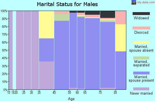 The Villages marital status for males