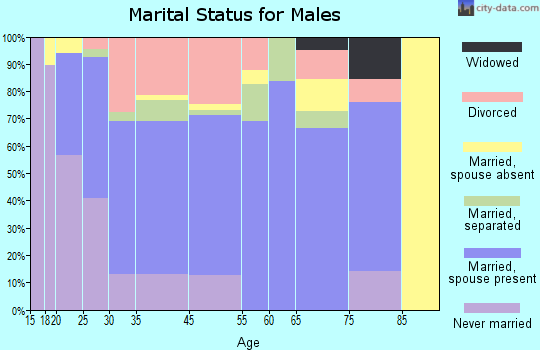 Thonotosassa marital status for males