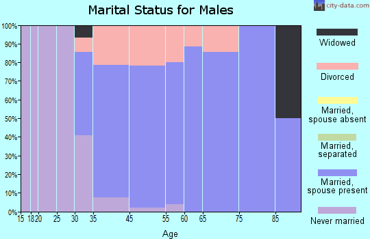 Tierra Verde marital status for males