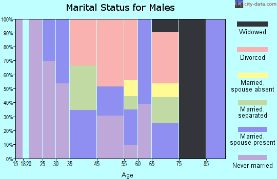Village Park marital status for males