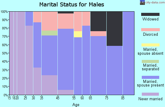 Villano Beach marital status for males