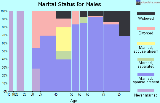 Warm Mineral Springs marital status for males
