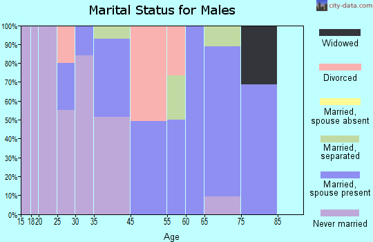 Washington Park marital status for males