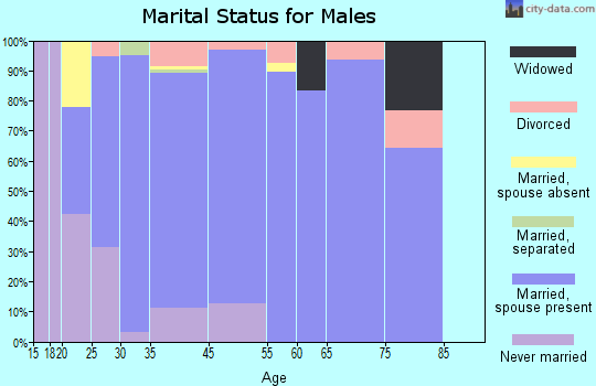 Wesley Chapel marital status for males