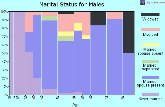 Wesley Chapel South marital status for males