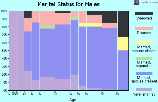West Vero Corridor marital status for males