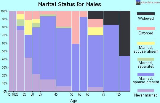 White City marital status for males