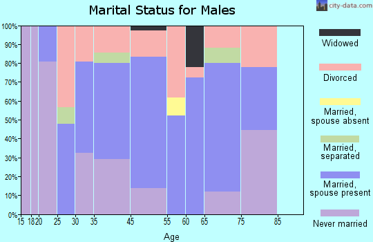 White Springs marital status for males