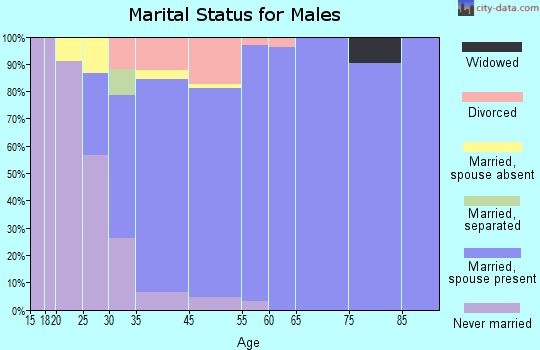 Windermere marital status for males