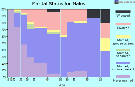Winston marital status for males