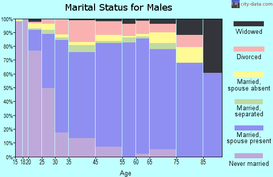 Yeehaw Junction marital status for males