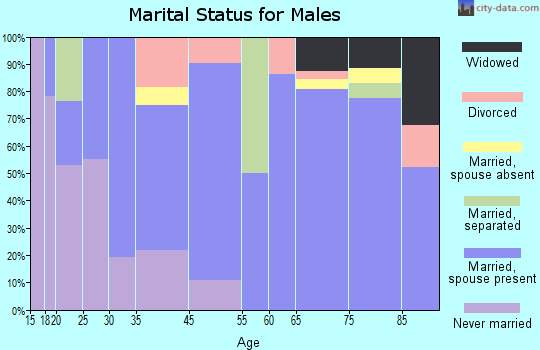 Zephyrhills North marital status for males