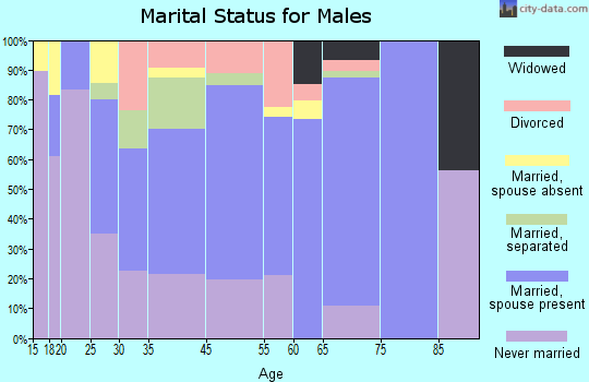 Adel marital status for males