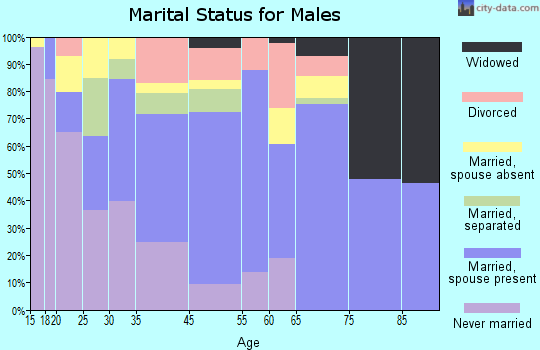 Ashburn marital status for males