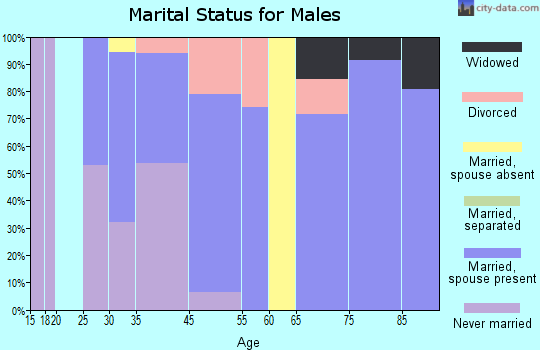 Avondale Estates marital status for males