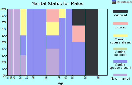 Bellville marital status for males
