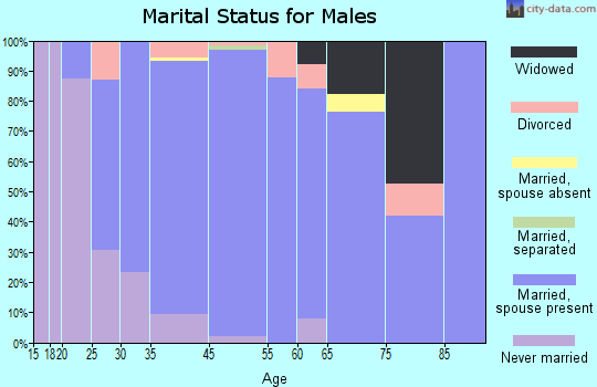 Berkeley Lake marital status for males