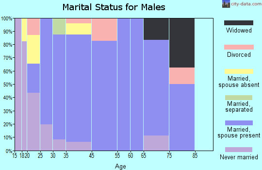 Bethlehem marital status for males