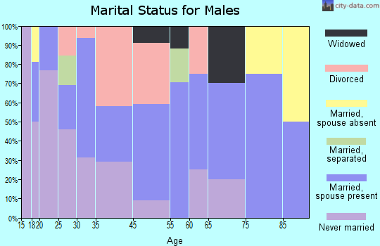 Bibb City marital status for males