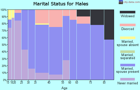 Bloomingdale marital status for males