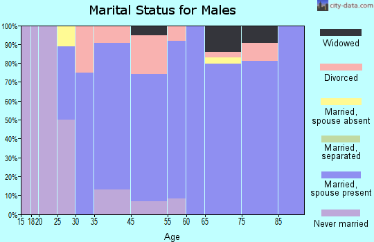Brooklet marital status for males