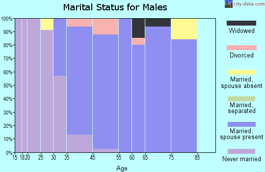 Brooks marital status for males