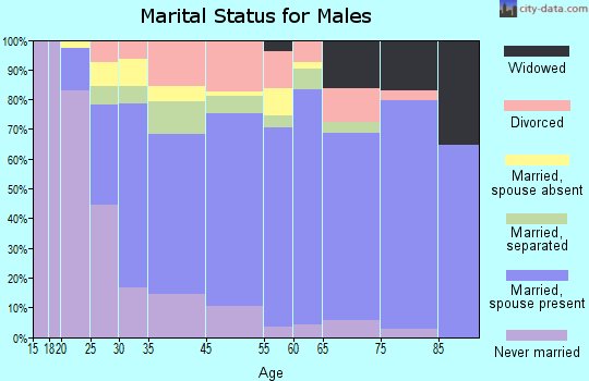 Cairo marital status for males