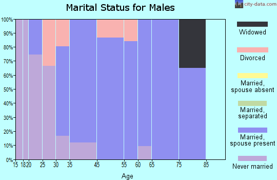 Smoke Rise marital status for males