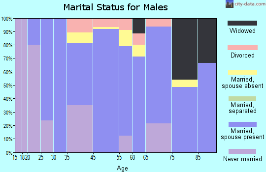 Cave Spring marital status for males