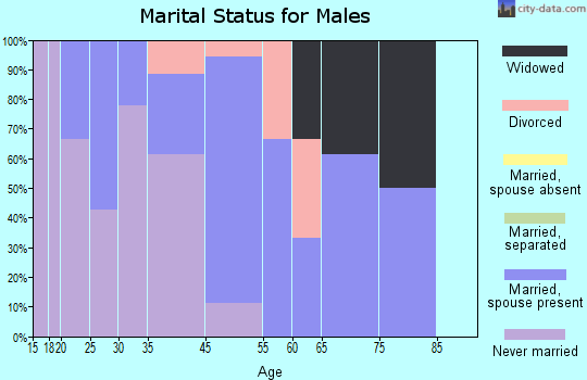 Chester marital status for males