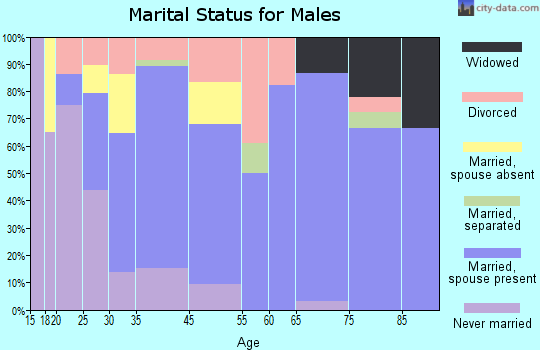 Clarkesville marital status for males