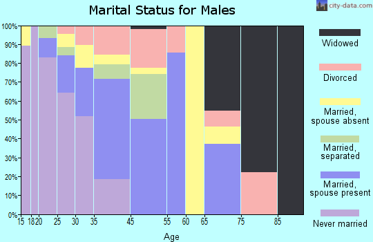 Clarkston marital status for males