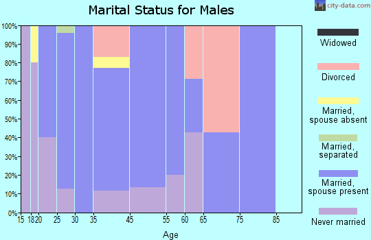 Somerville marital status for males