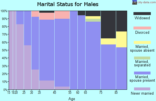 Spanish Fort marital status for males