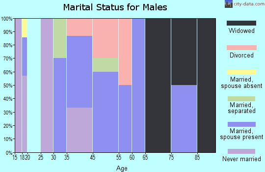 Damascus marital status for males