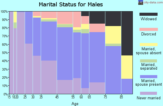 Decatur marital status for males