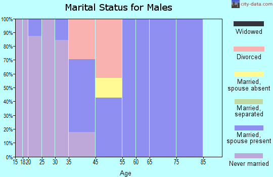 De Soto marital status for males