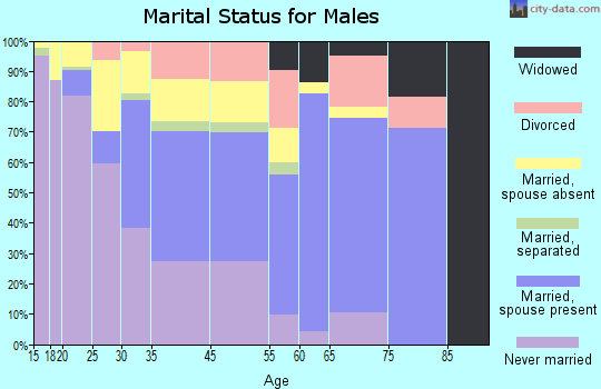Doraville marital status for males
