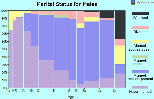 Druid Hills marital status for males