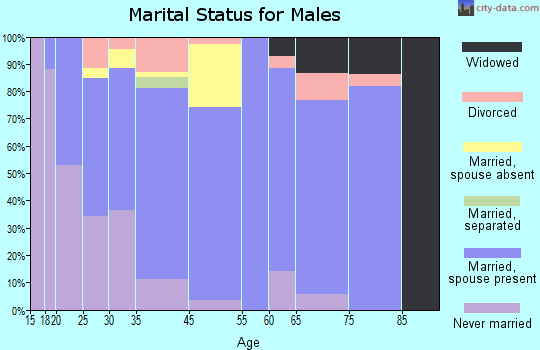 Blountsville marital status for males