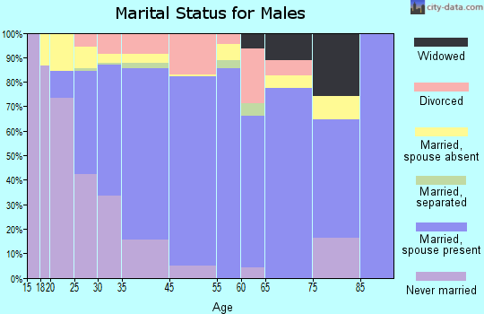 Duluth marital status for males