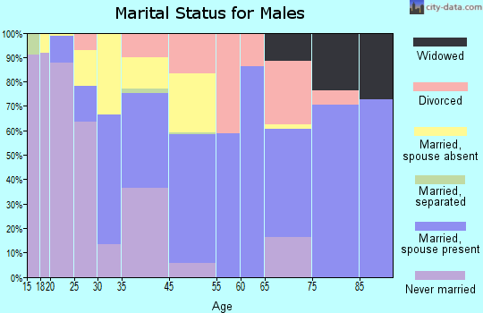 Ellijay marital status for males