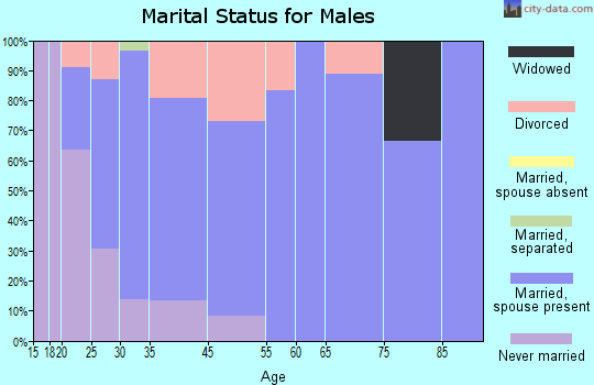 Summerdale marital status for males